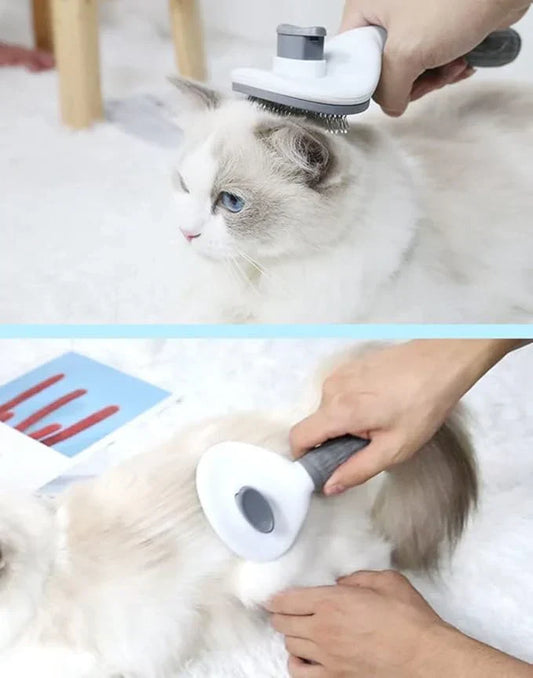 Pet Comb Brush